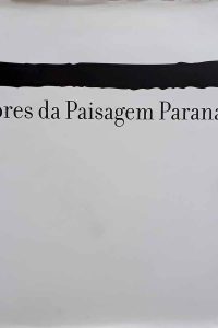 Pintores da paisagem Paranaense.  Edição Fac Similar.  Organização: Secretária Estadual da Cultura-PR. 