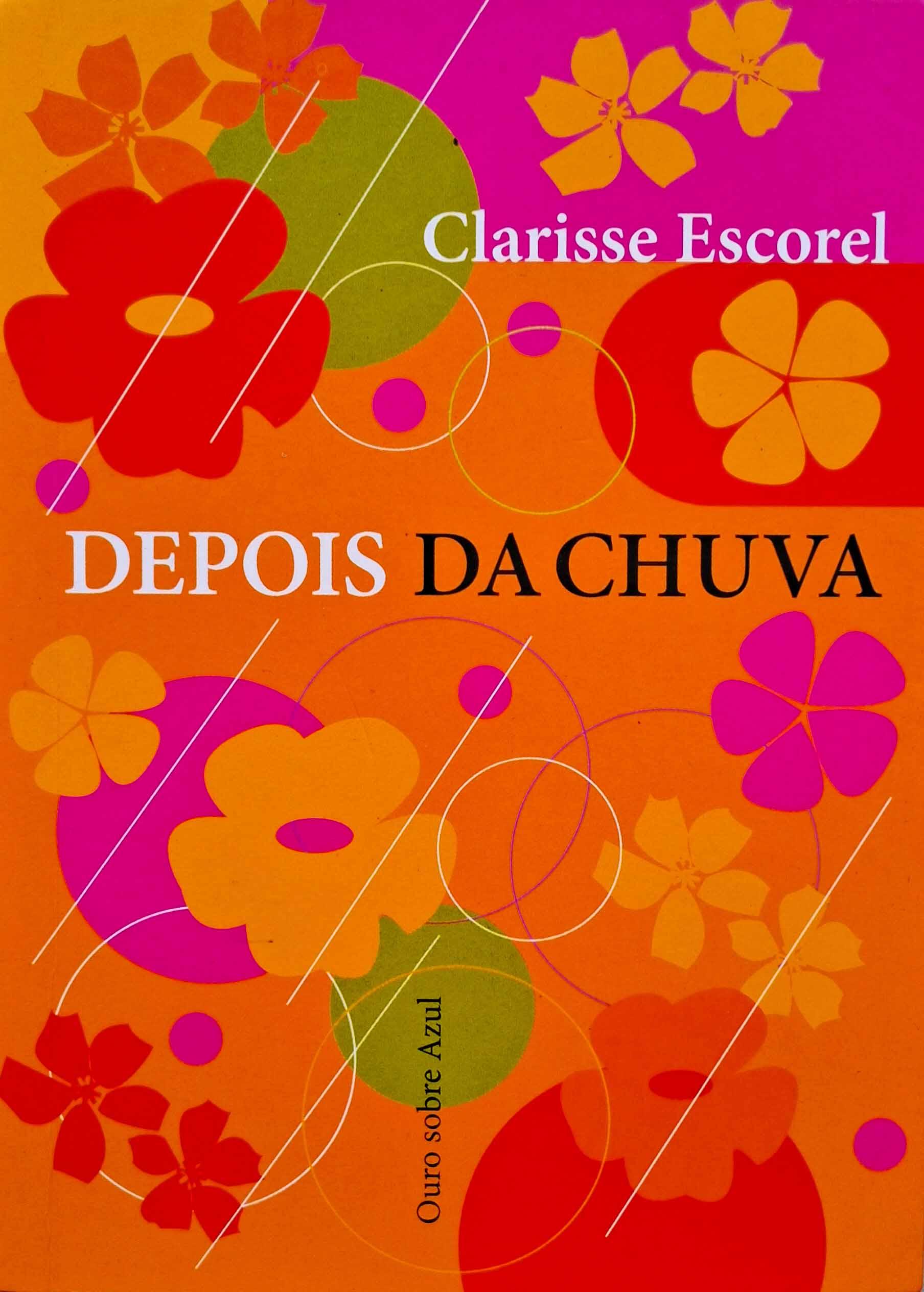 Depois da Chuva.  Autor: Clarisse Escorel. 