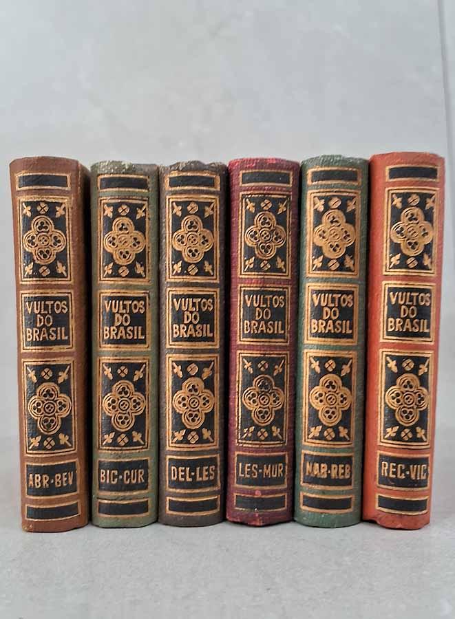Vultos do Brasil: Coleção 6 Volumes